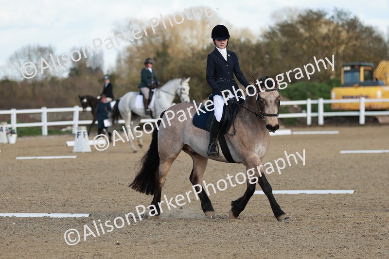 20260314-5378 - DR4 - Prelim 2