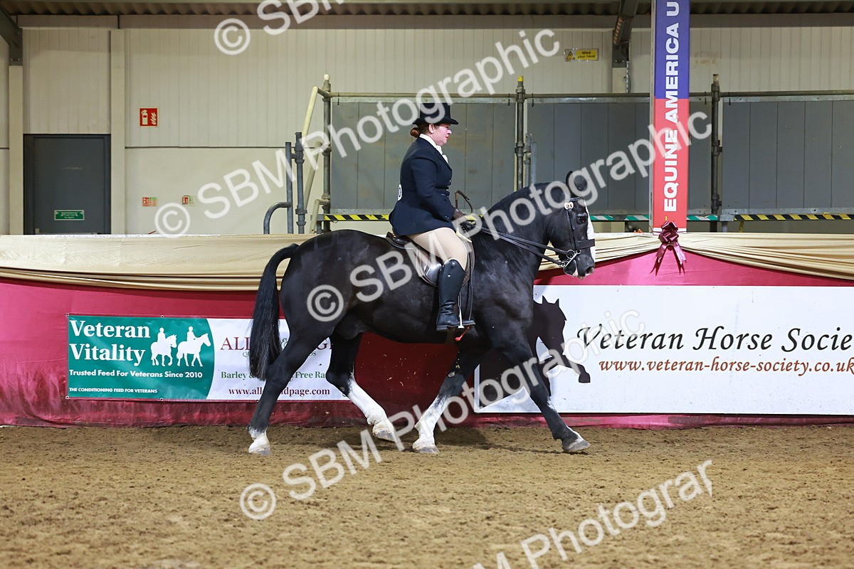SBM_15400 - Class Q - Ridden Horse Champ