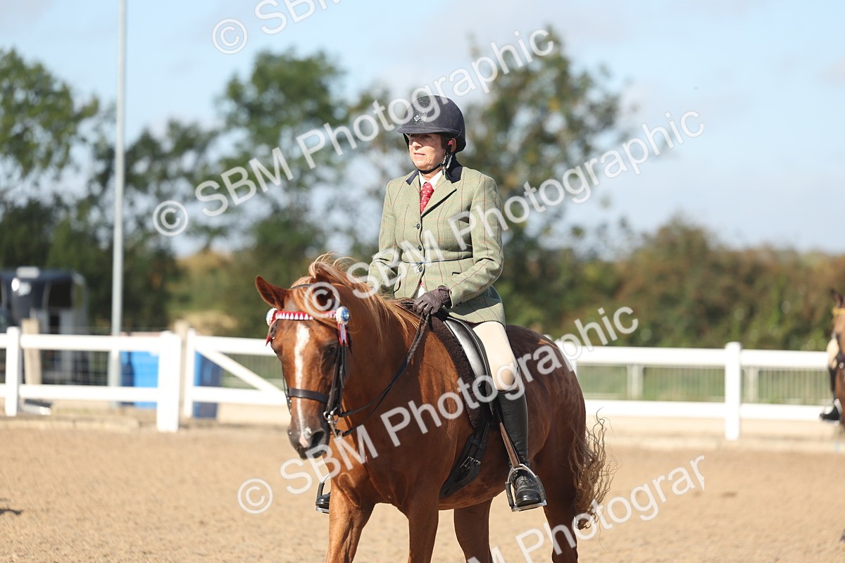 SBM_22332 - Class 803 - Ridden Combination 65+