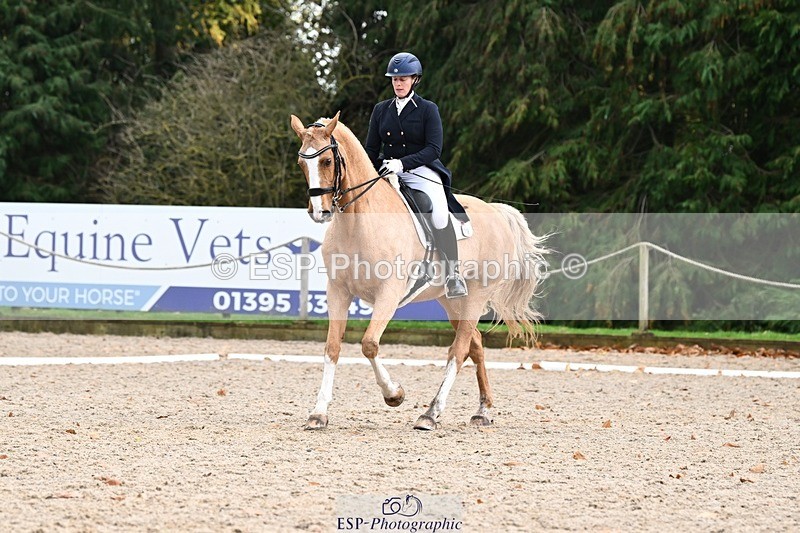 231110-152907-02201 - Cls 11 FEI PSG