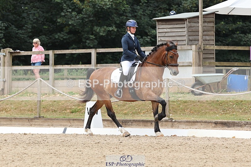 250718A-114550-00944 - 117-Alexandra.Northwood-Scurlagecastle.Gino