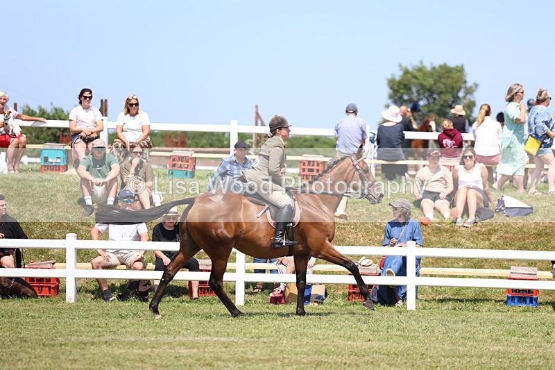 3E7A9324 - Class 12: Open Racehorse to Show Horse