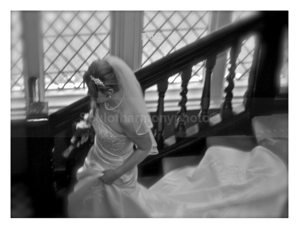  - Social Events, Weddings, Locations.