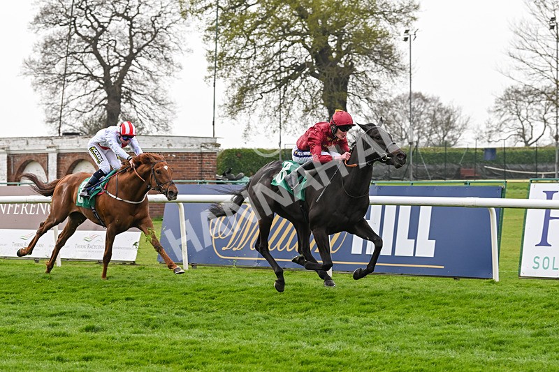 120425-Race 2-Montpellier-0924 - Race 2