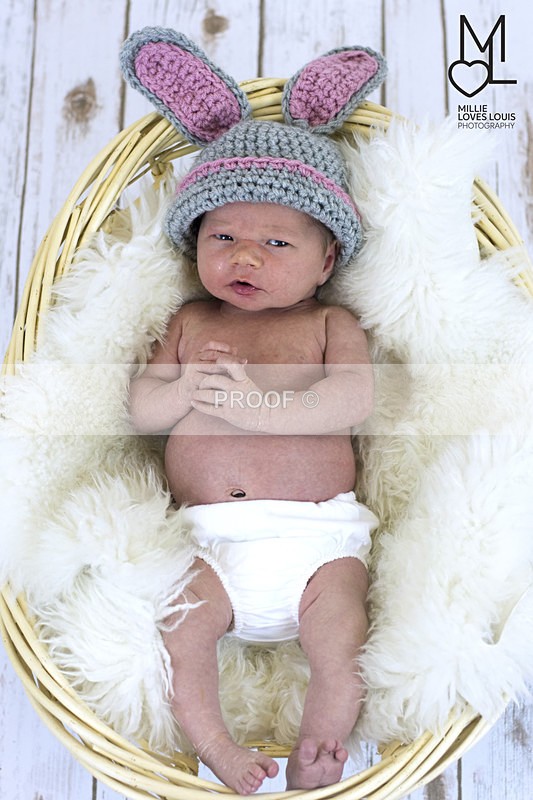DSC_6629portfolio - Newborn Photoshoots