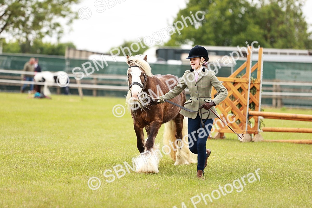 SBM_06057 - Class 39-41 TGCA In Hand and Ridden