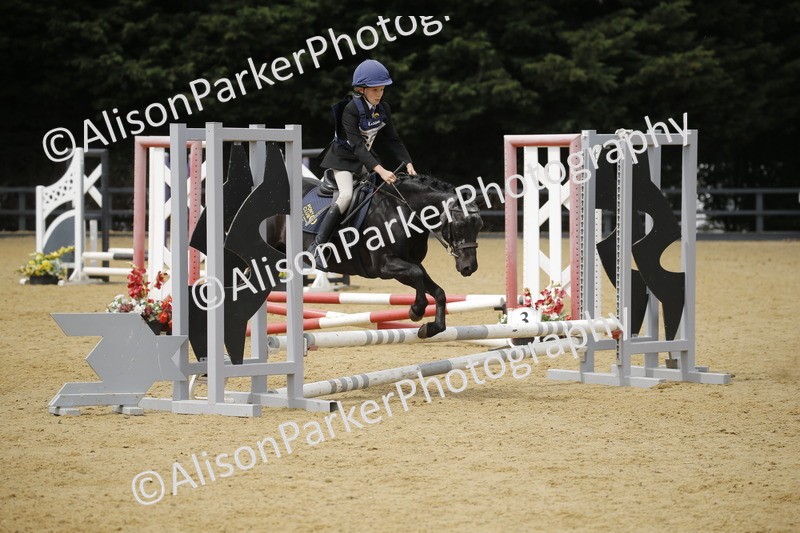 20250622-4706 - 50cm