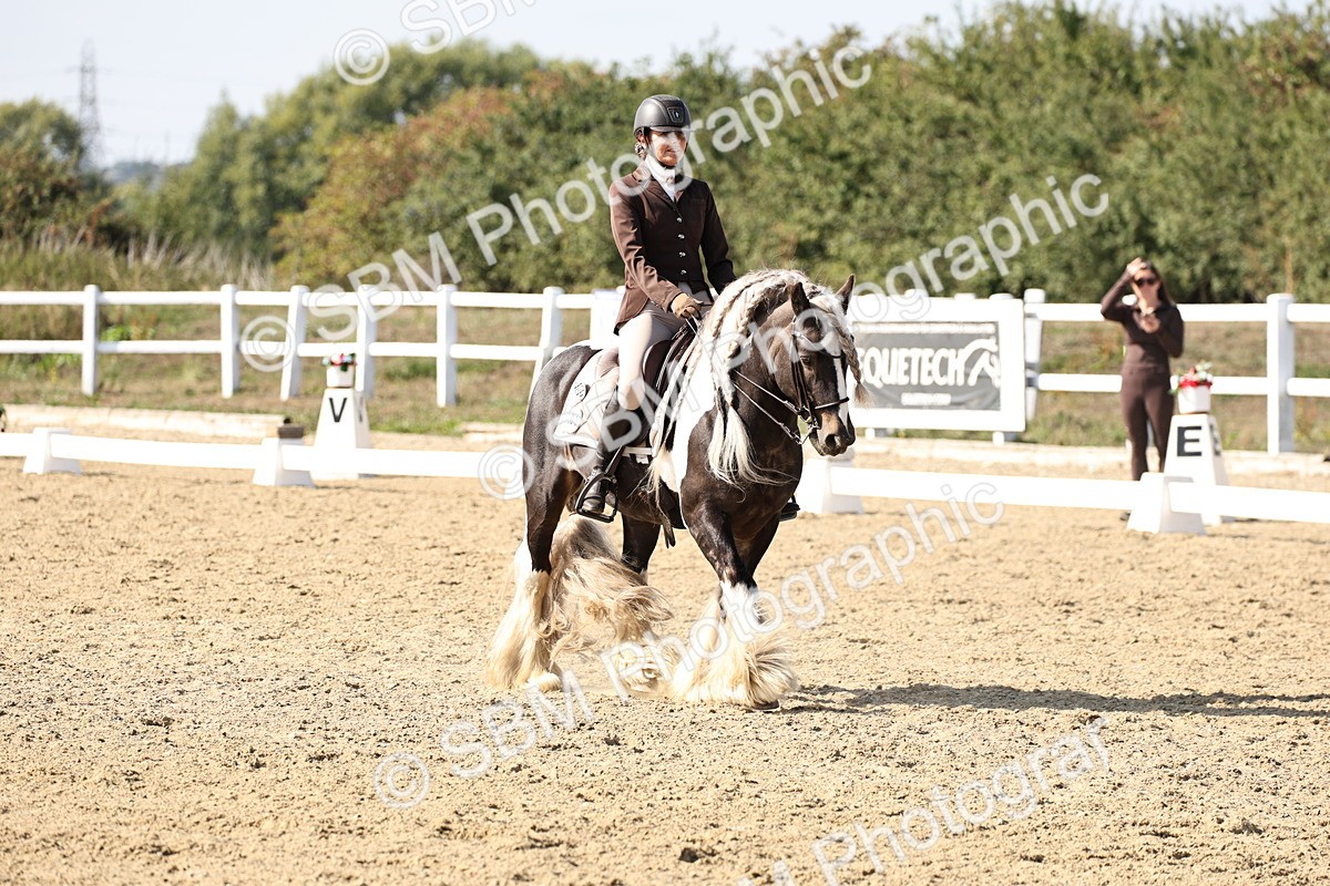 SBM_015271 - Class 9 - Advanced medium 3