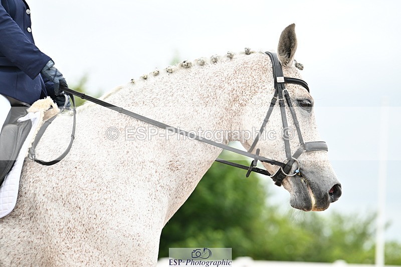 240623A-114055-17551 - Cls 48 BD Novice 37A