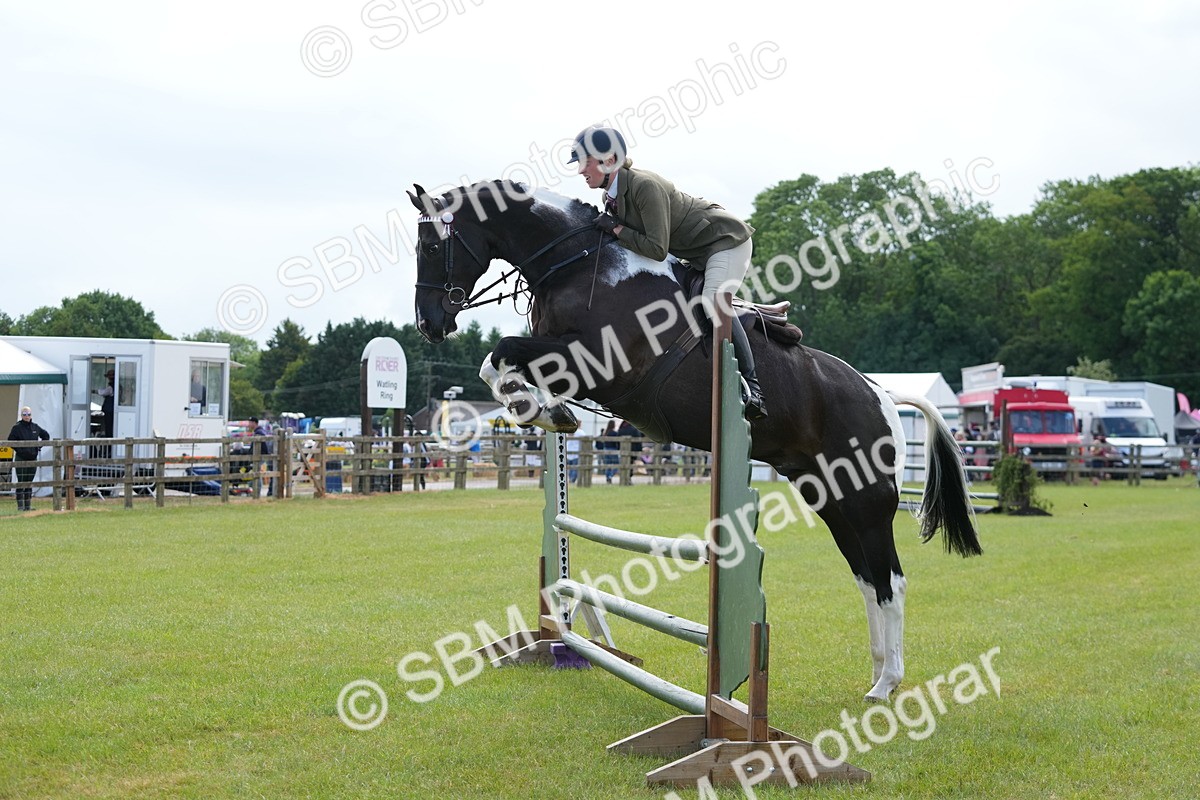 SBM_12870 - Class 99 - RIHS SEIB Working Show Horse