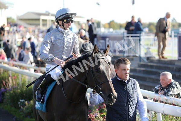 yr08102022r5-20 - Race 5 3.50pm The Coral Committed To Safer Gambling EBFStallions.com Maiden Stakes