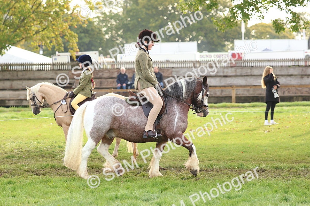 SBM_56600 - S40 - Starters Ridden Showing