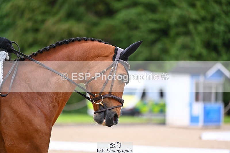 240524-124737-09340 - 152-MODRIX_DOR_VAN_DE_MISPELAERE-Annabel_Walsh