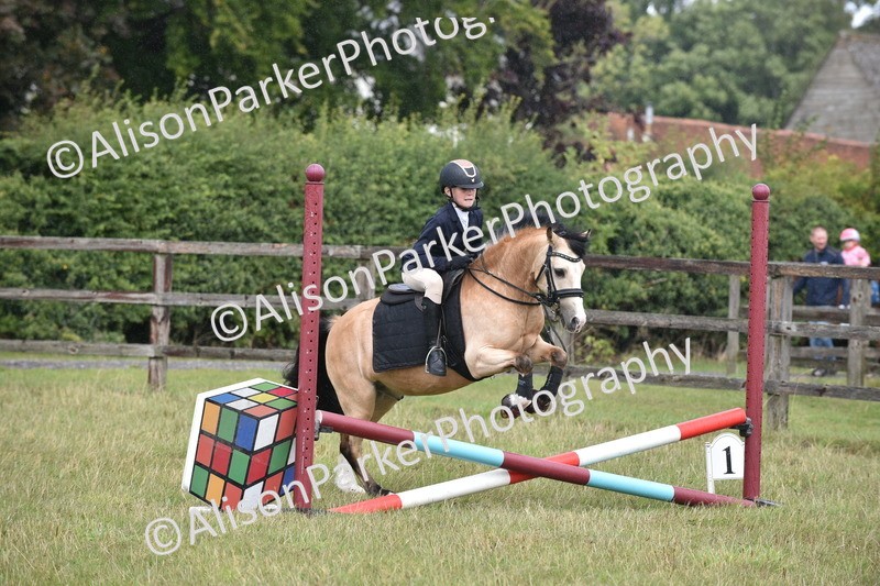 20250831-1878 - Class 9 - Absolute Novice 45cm