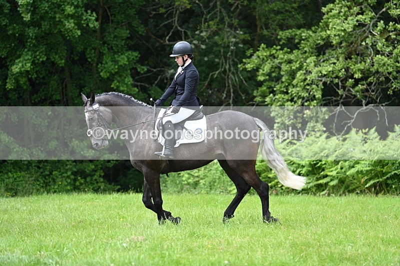 WJ7_2289 - Class 12A Coloured Class