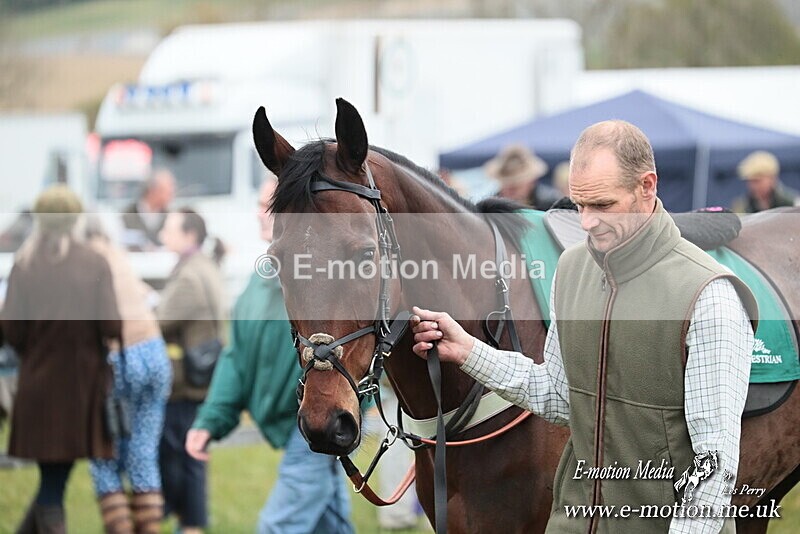 PtP 130425 197 - Edgecote Races 13/04/25