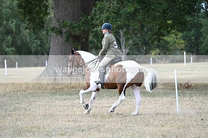 WJ7_7308 - Class 14 Ridden Coloured