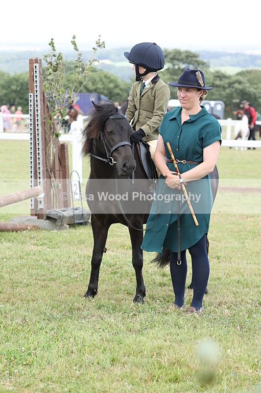 JPP_1906 - Class 18: Tiny Tots Working Hunter Pony