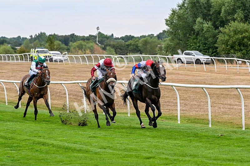 170826-Race 3-Quercus-9346 - Race 3 15.15pm Chapman Milestones Celebration, Thank You NHS Handicap