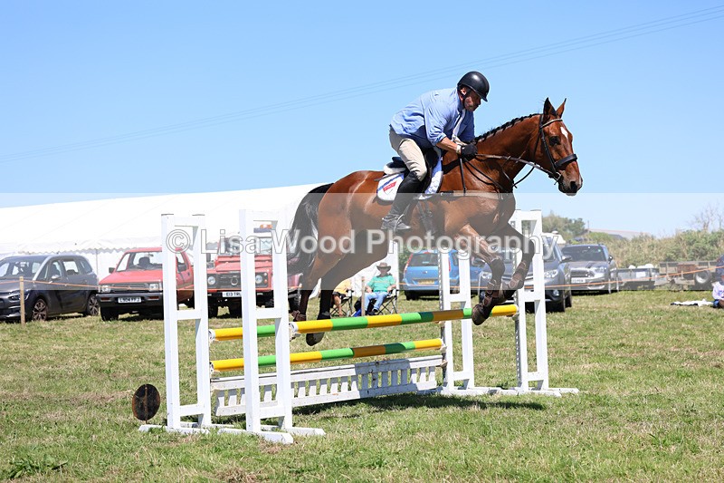 3E7A5547 - Class 9: Senior British Novice/90cm open