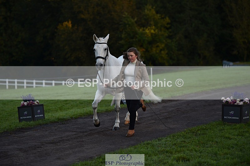 231022-083316-21223 - 659-MACS.BOY-Daisy.Fulton-TrotUp+SJ