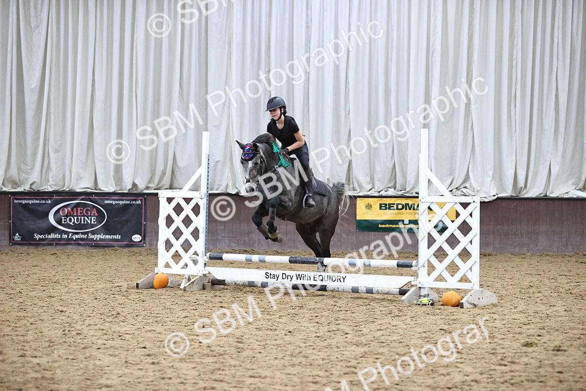 SBM_001338 - Class 3 - Horse & Hound 60cm