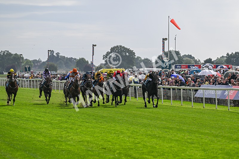 060926-Race 2-Oriental Prince-7182 - Race 2 2.05pm Fine Details Car Valeting Sprint Handicap