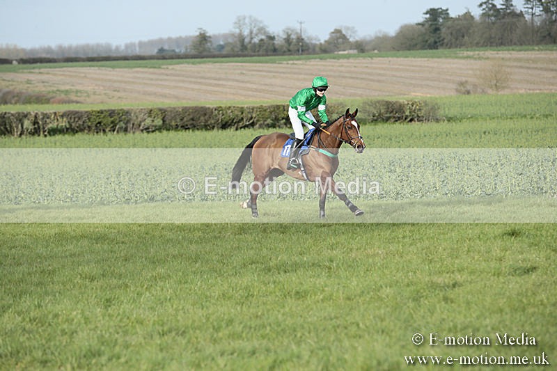 PtP 230319 462 - VWH Hunt Siddington Point-to-Point Racing 23/03/19
