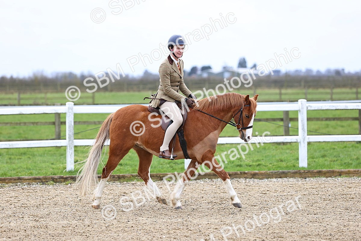 SBM_006769 - Class 29 - 30 - M&M Pure Novice Small-Large Breeds