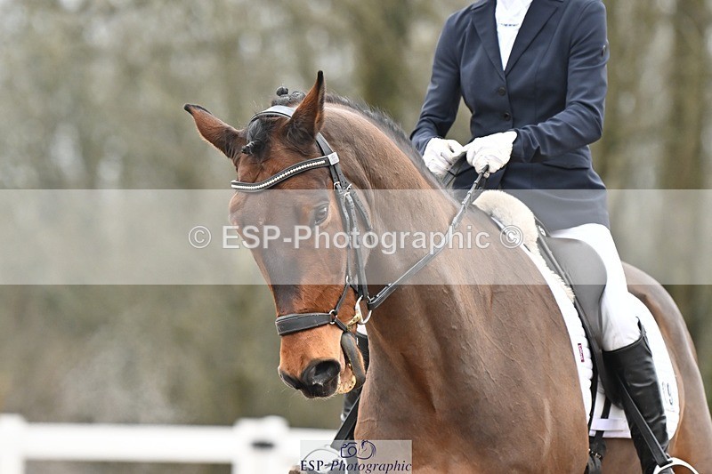 250216-121609-05252 - 209-Anthea.Parkyn-Blue.Hors.Zagato