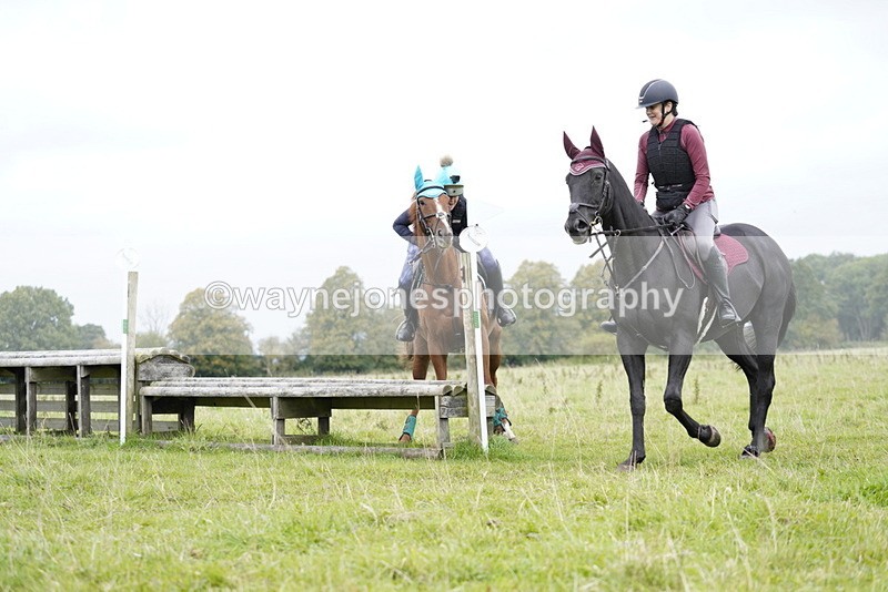 _DSC7111 - Time at Photographer 10:43 to 11:19