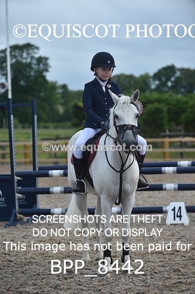 BPP_8442 - CLASS 1 British Novice / 0.80m Open