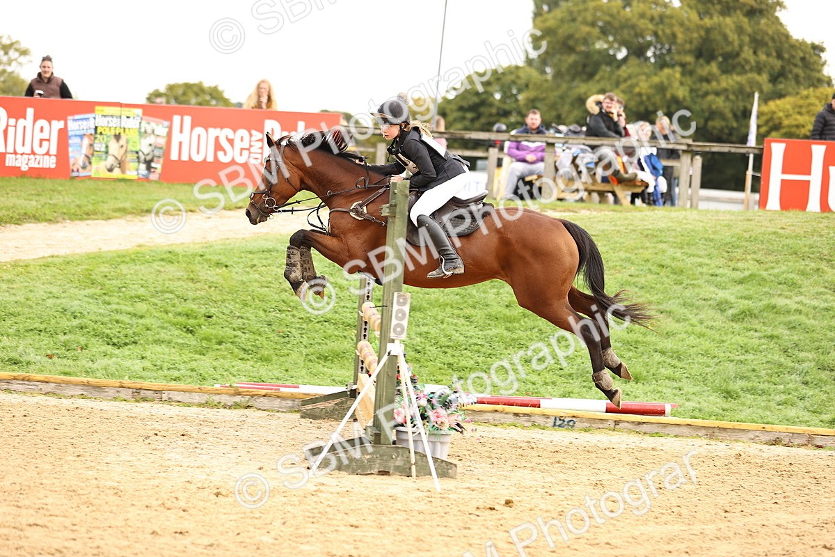 SBM_58391 - J41 - Grand Tour Horse & Pony 95cm