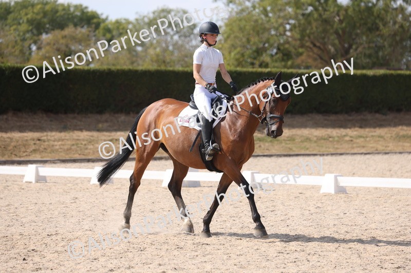 20260815-1063 - Class 6 - Novice 2