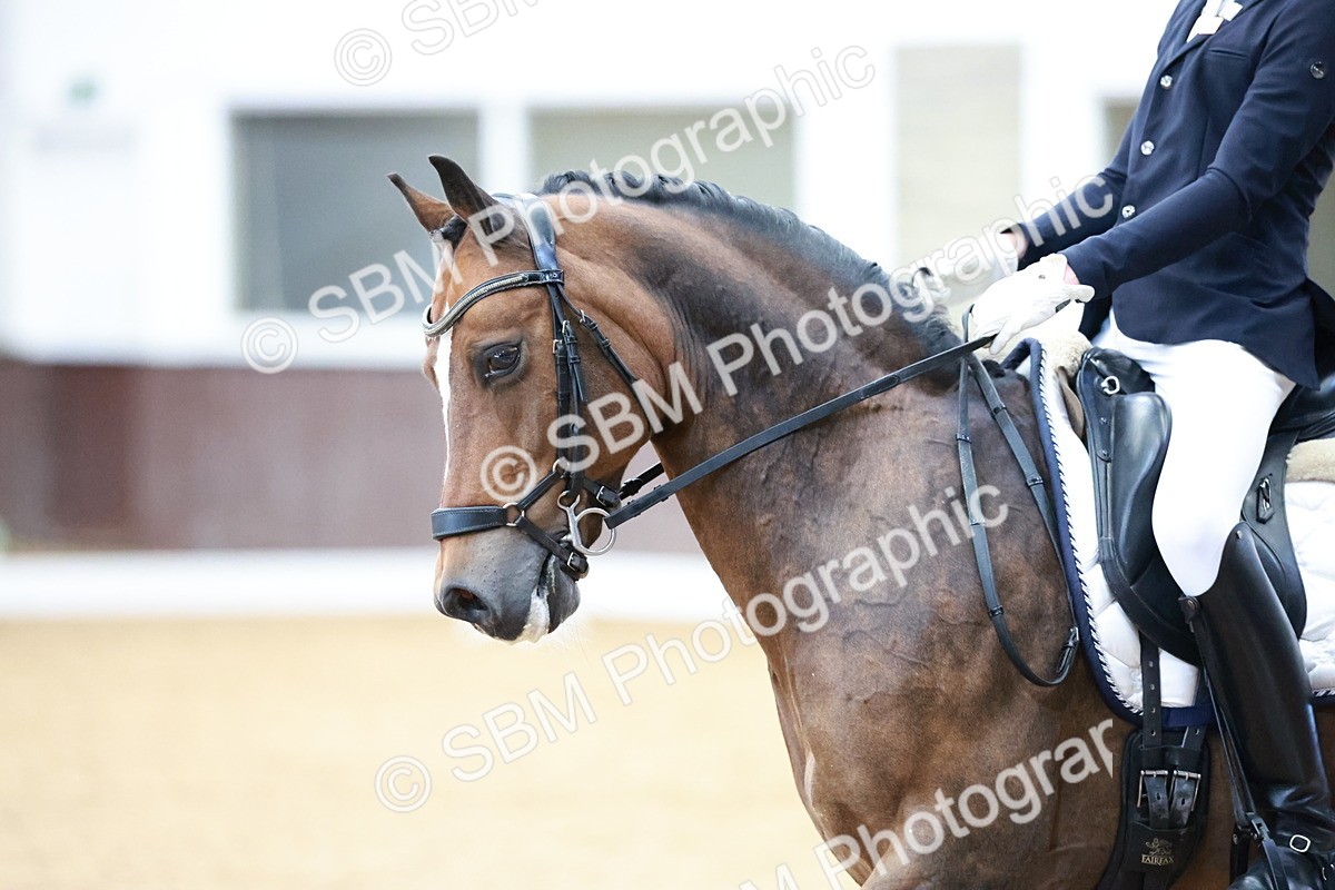 SBM_017133 - Class15 - FEI Pony