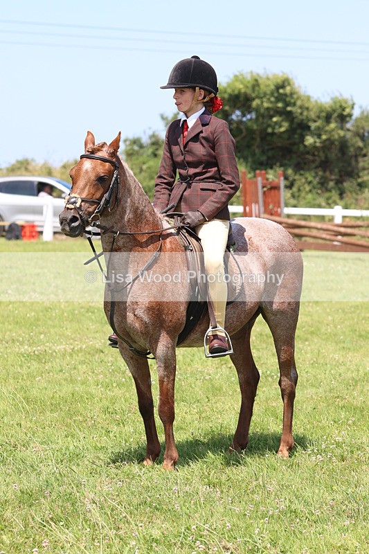 JPP_2744 - Class 21: Working Hunter 60cm