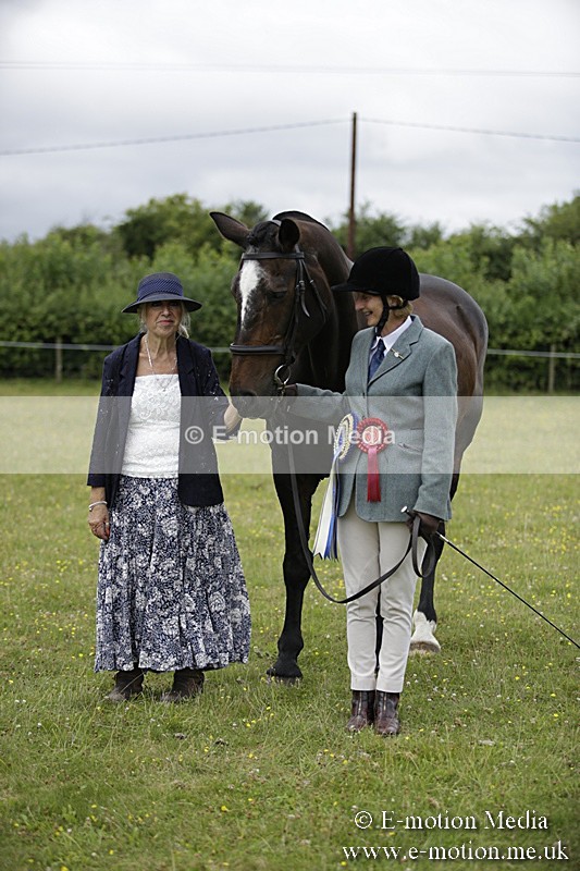 BVR160717-1127 - In Hand Championship 16/07/17