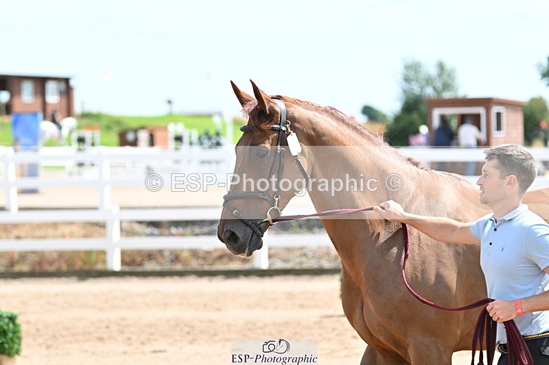 240717A-150004-02423 - Trot Up 3pm to 4pm