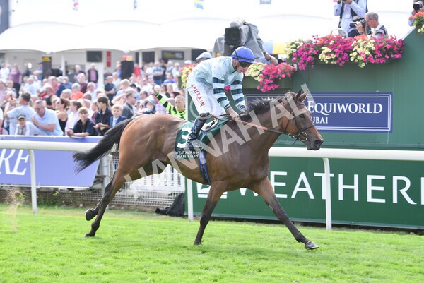 yr19082022r2-44 - Race 2 2.25pm Weatherbys Hamilton Lonsdale Cup (British Champions Series Race)