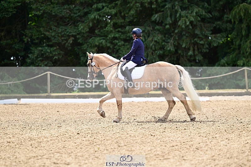 260802A-111224-05733 - Novice Silver break - break