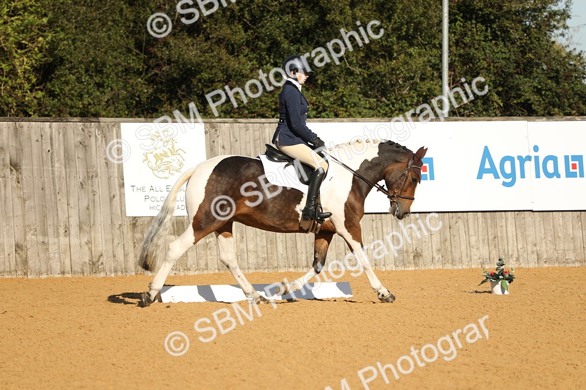 SBM_16384 - D10 - Small Tour Championship - Prelim 2