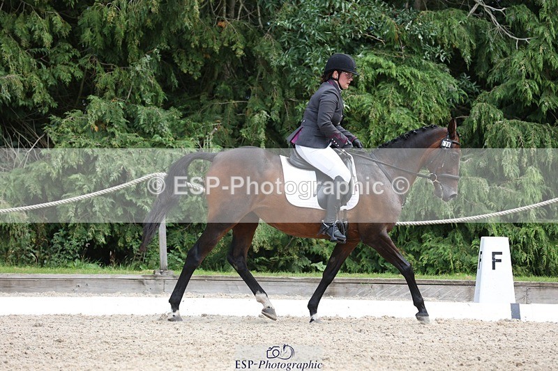 230812-135743-04350 - Cls 5 Novice Bronze 13.40 to 14.45 break