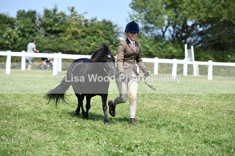 DSC_8177 - Class 67: Child Handler 11 - 16 years