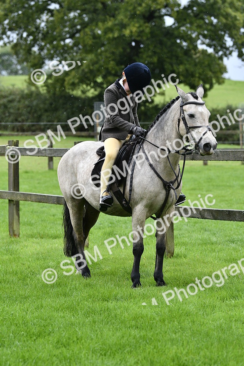 SBM_35555 - S30 - Nursery Stakes Working Hunter Pony