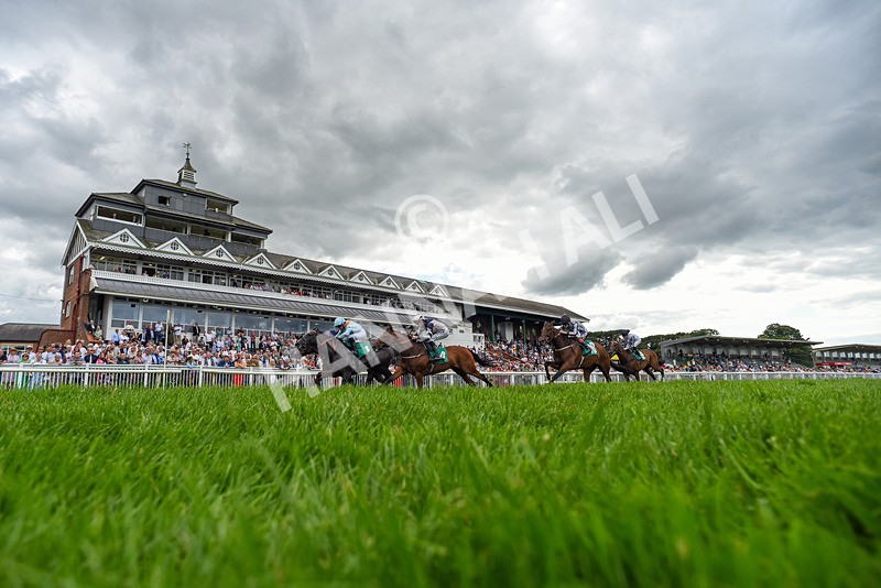 170724-Race 4-Bobby Bennu-1639 - Race 4