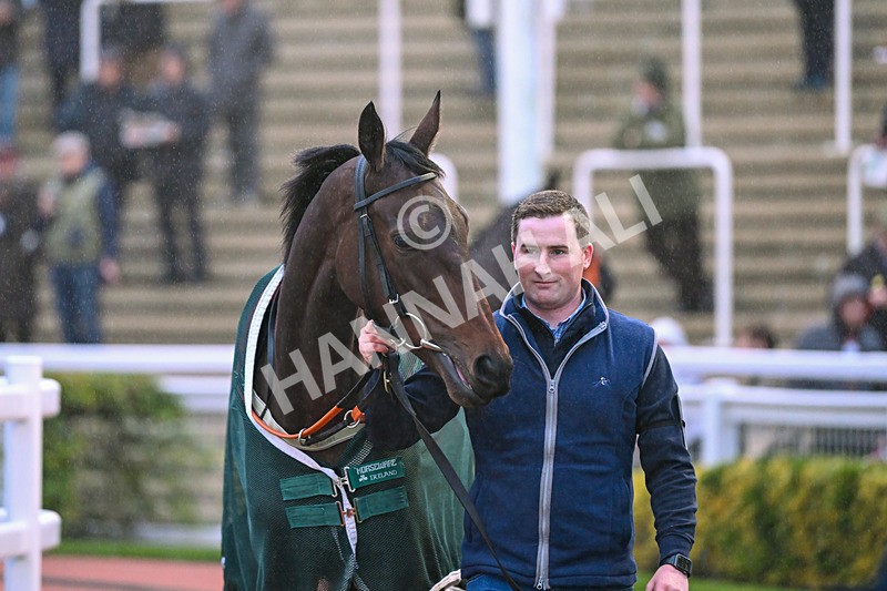 161124-Race 7-Paddock-Seo Linn-1568 - Race 7