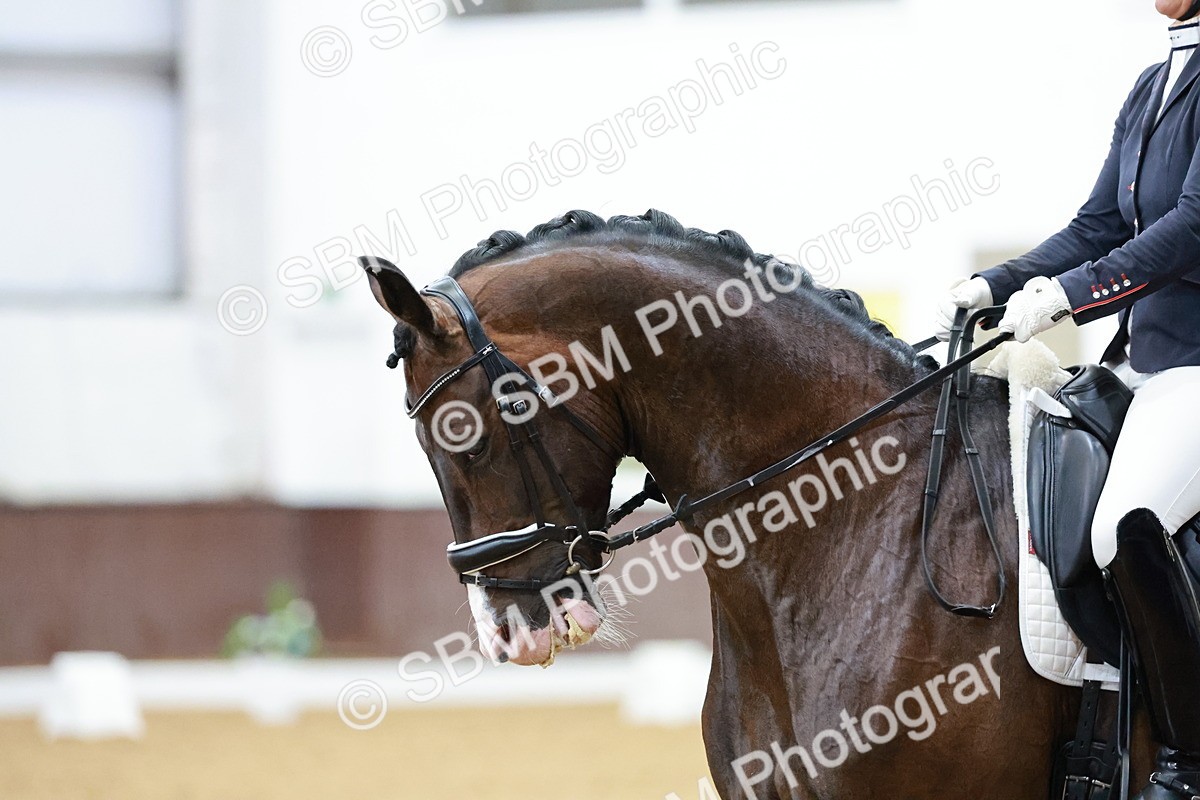 SBM_006248 - Class 3 - Medium 6 - 16.16-17.28