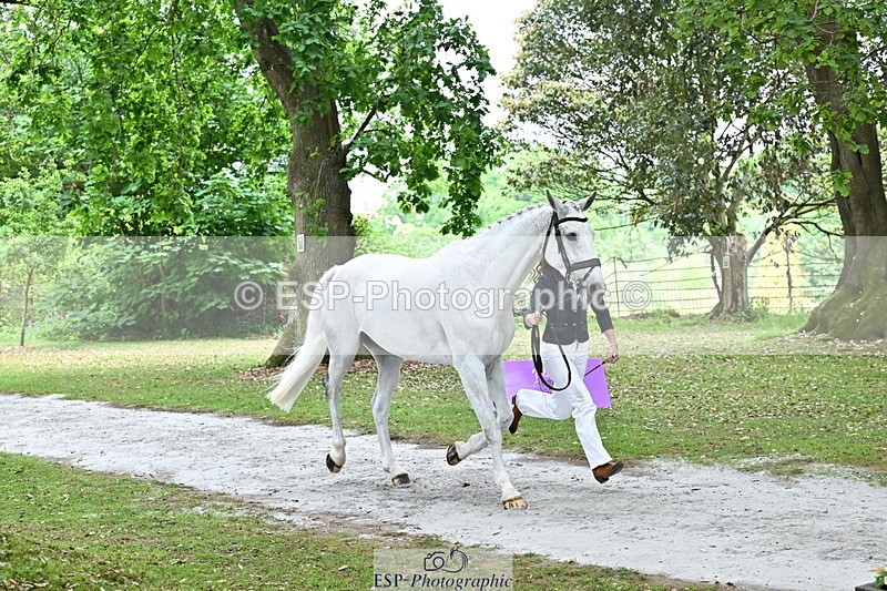 250521A-145015-00274 - A-065-Beatrice.Montgomerie-JAG.WOMANIZER.LADY