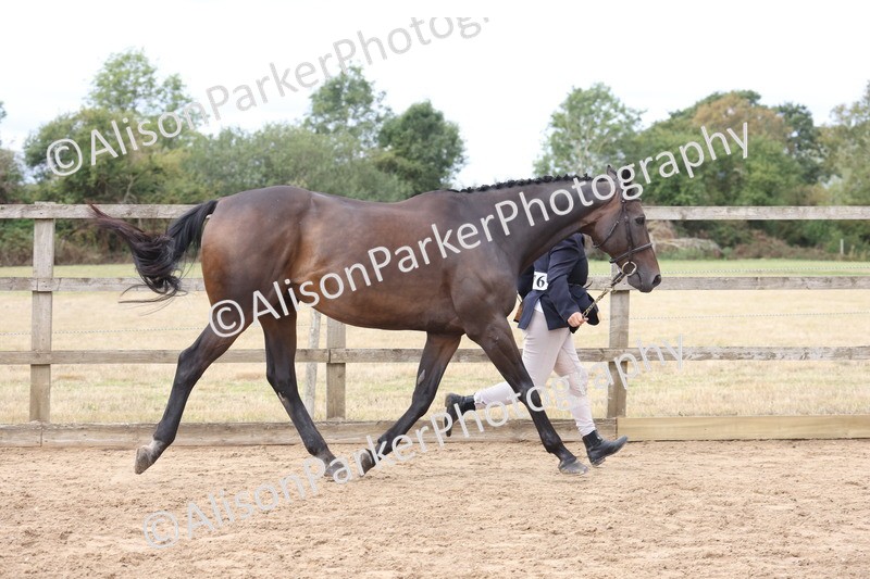 20260831-1908 - Class 5 - Retraining of Racehorses