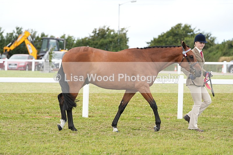 DSC06413 - Class 55: Hunter/Riding Horse/Hack 3 & 4 yr olds